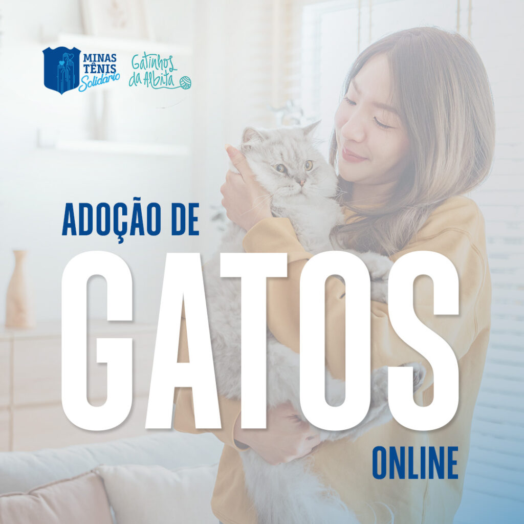 Adoção de gatos online