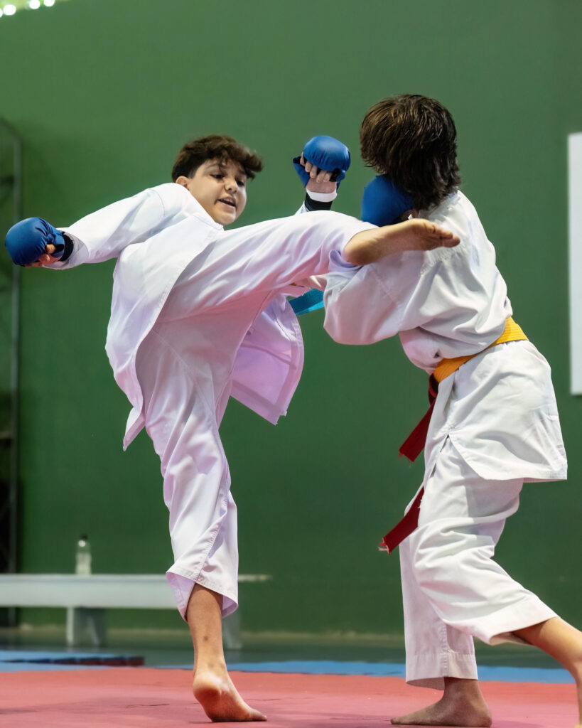 Alunos do Karatê aproveitam Festival