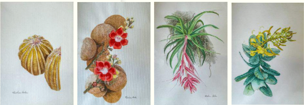 Artistas do Minas II