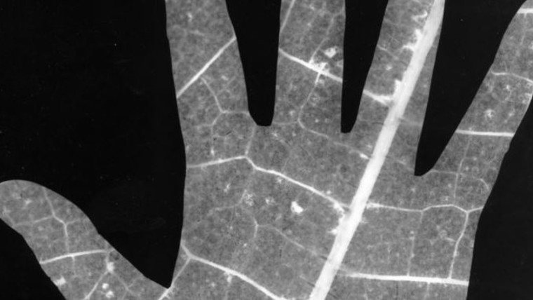 Como fazer fotograma?