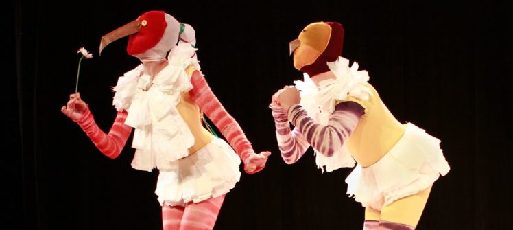 Encontro de passarinhos