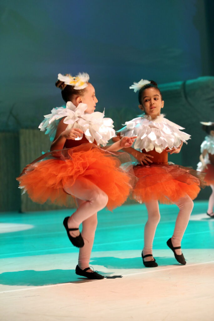 Espetáculo de Dança