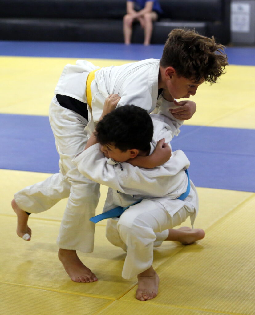 Grand Prix de Judô