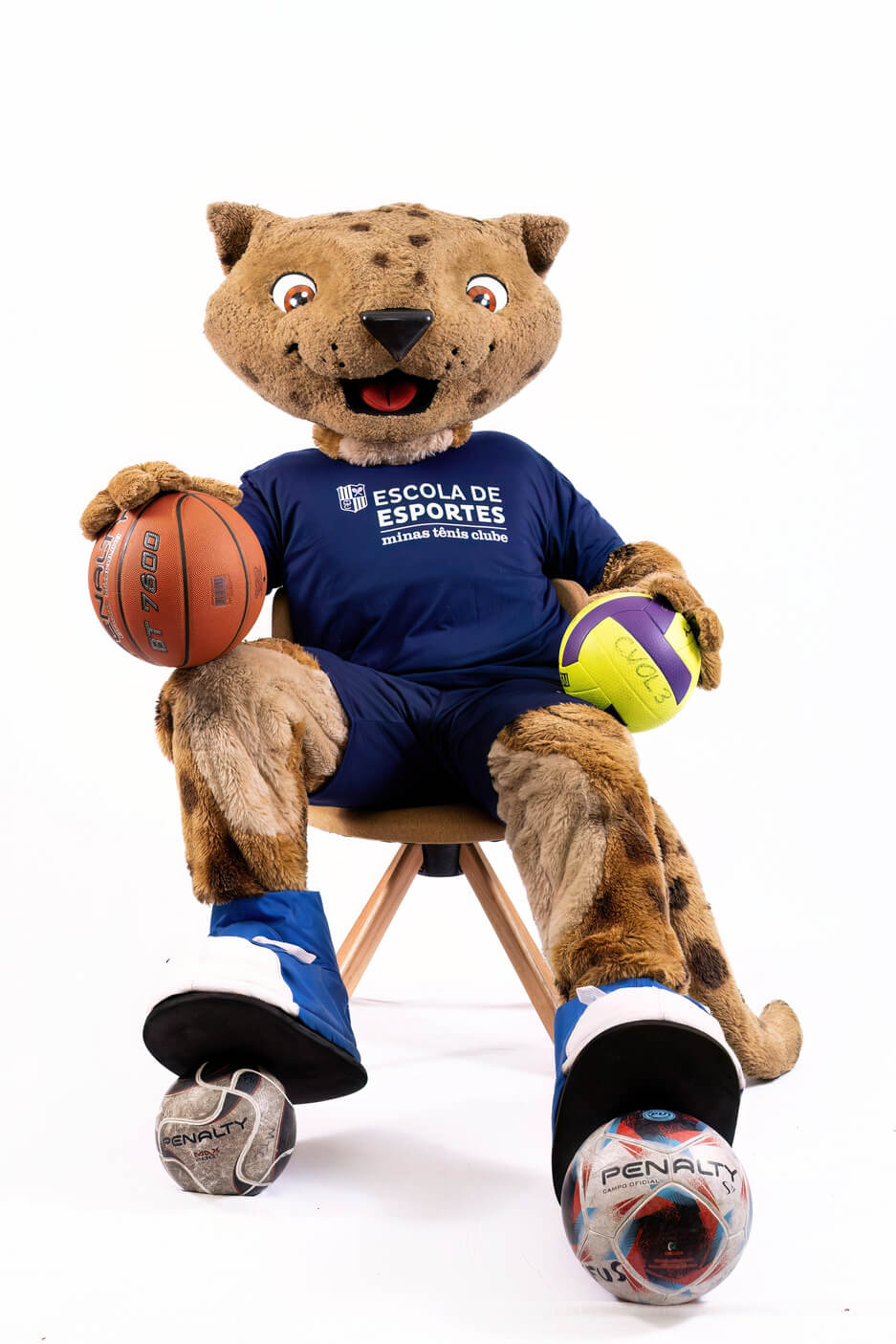 Quero me tornar um aluno da Escola de Esportes Minas Tênis Clube