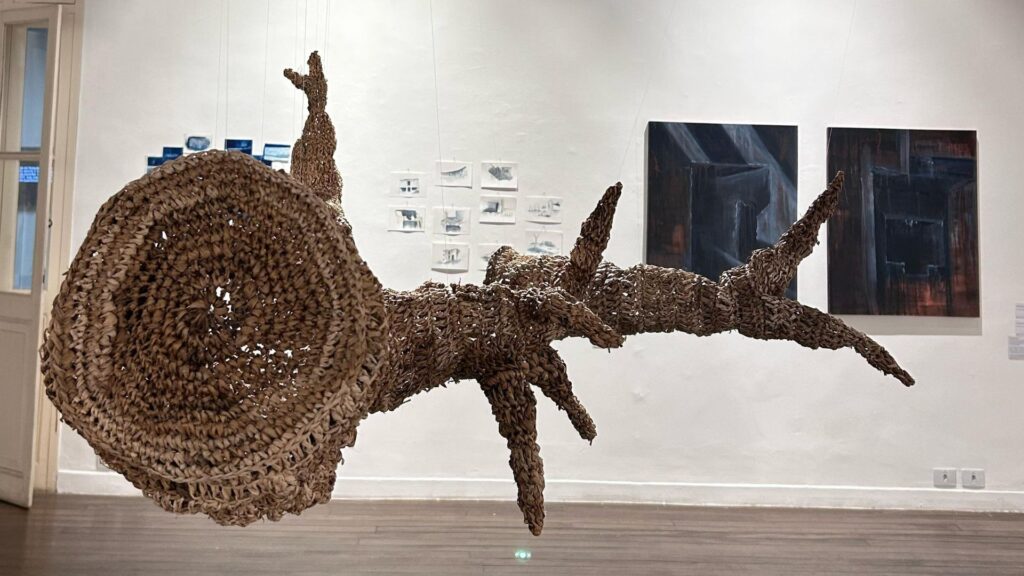 Metamorfoses Tecidas