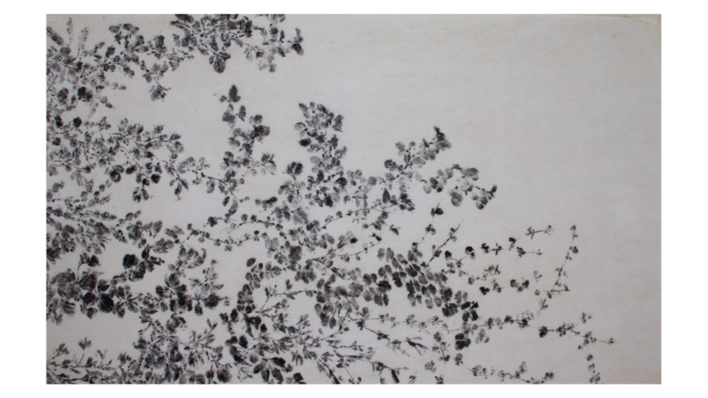 Natureza Imaginária