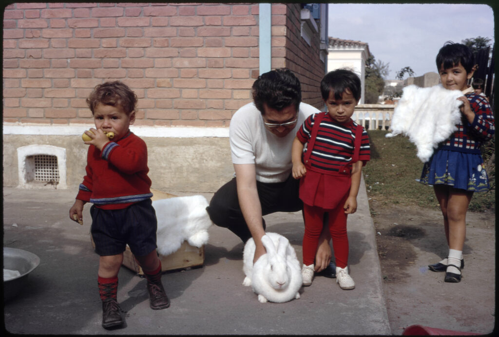 Nydia Negromonte em cartaz