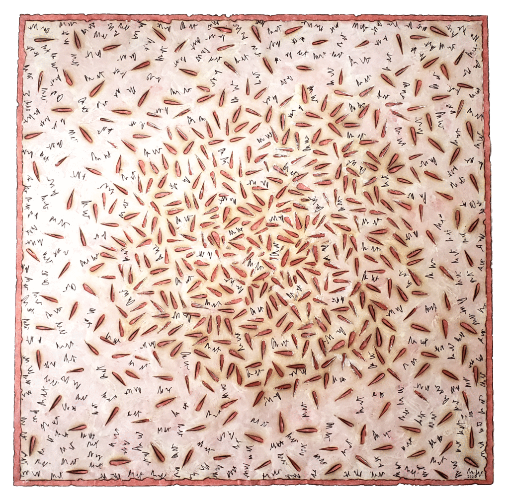 Raspas e restos nos interessam