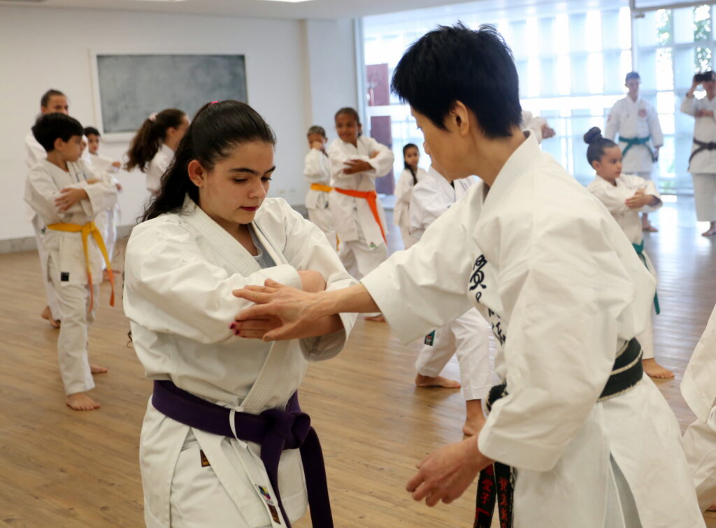Seminário Internacional de Karatê