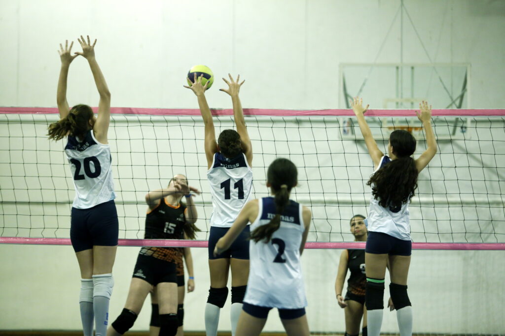 Troca de Experiências