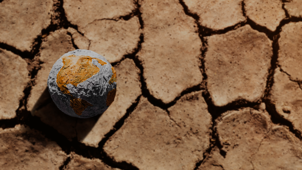 Águas para o Futuro