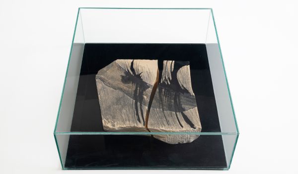 Exposição Caixa-Paisagem, de Thais Helt