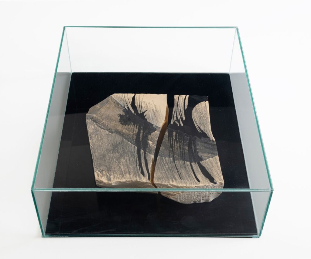 Exposição CAIXA-PAISAGEM, de Thais Helt