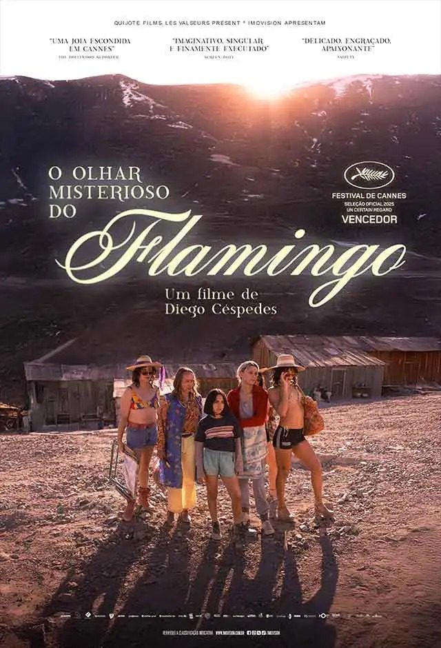 O olhar misterioso do flamingo