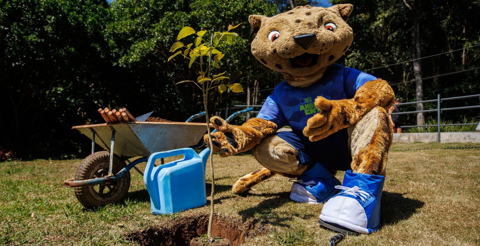 Meu Ambiente: cuidando do futuro!
