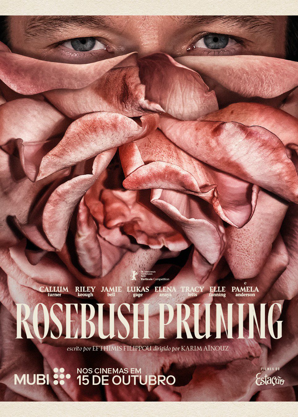 Rosebush Pruning